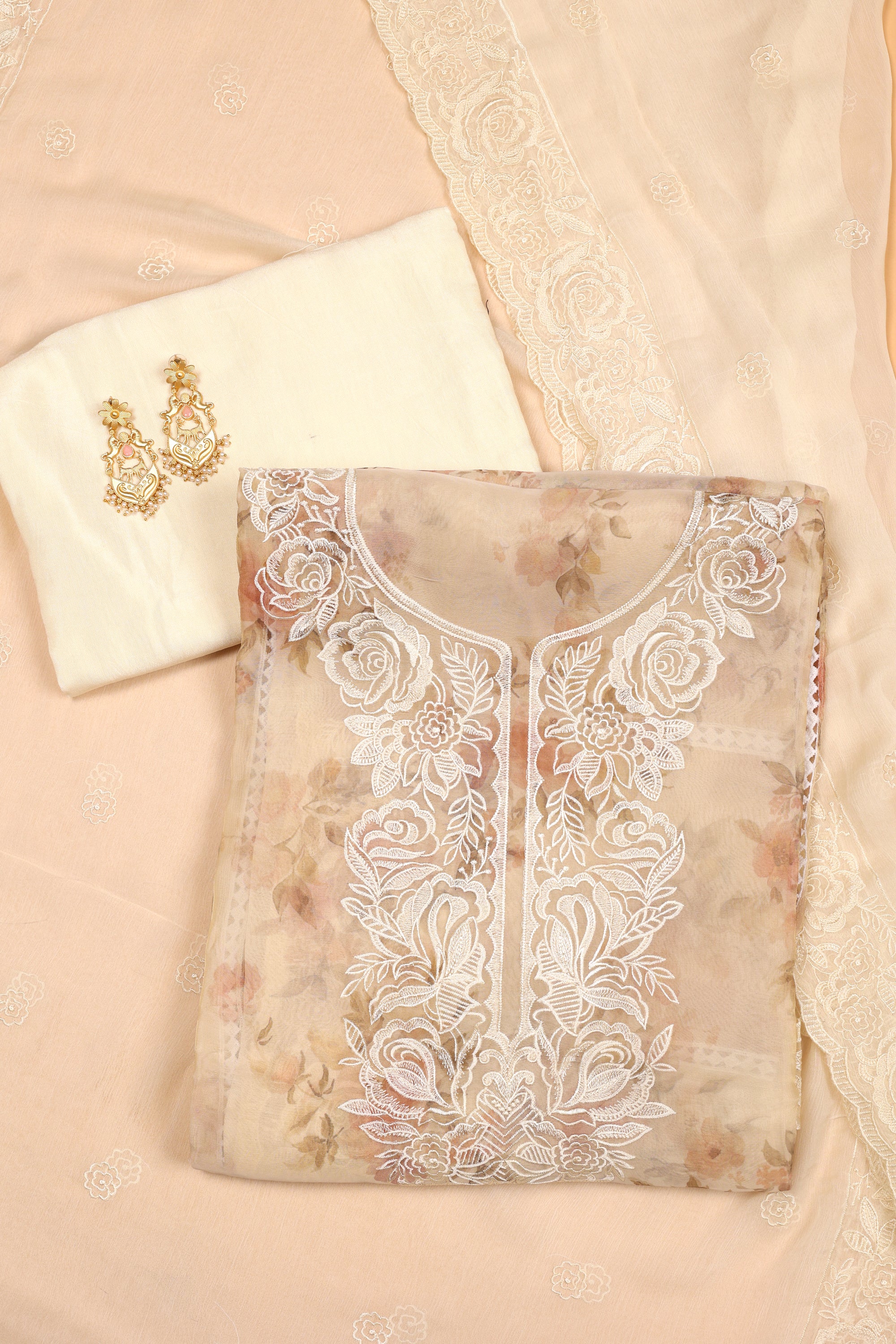 Tissue Organza Suit with Resham Thread Suit