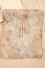Tissue Organza Suit with Resham Thread Suit