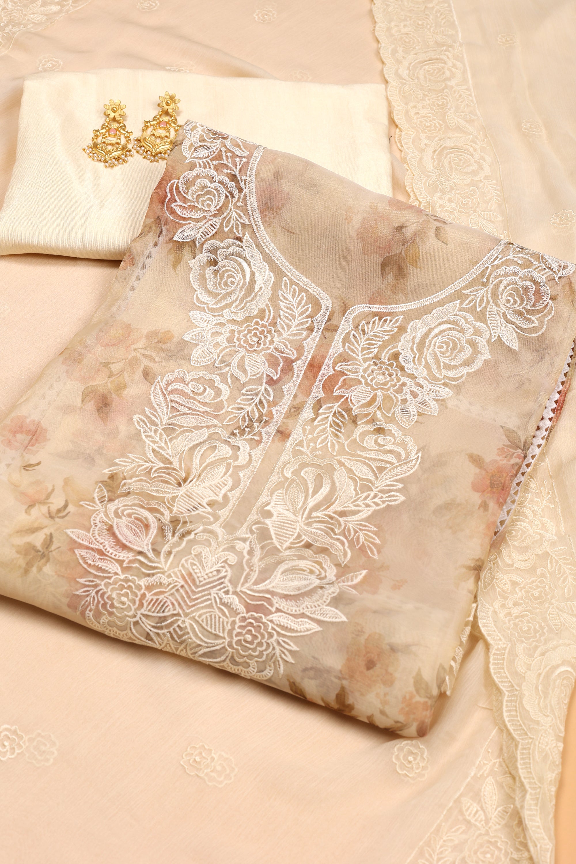 Tissue Organza Suit with Resham Thread Suit