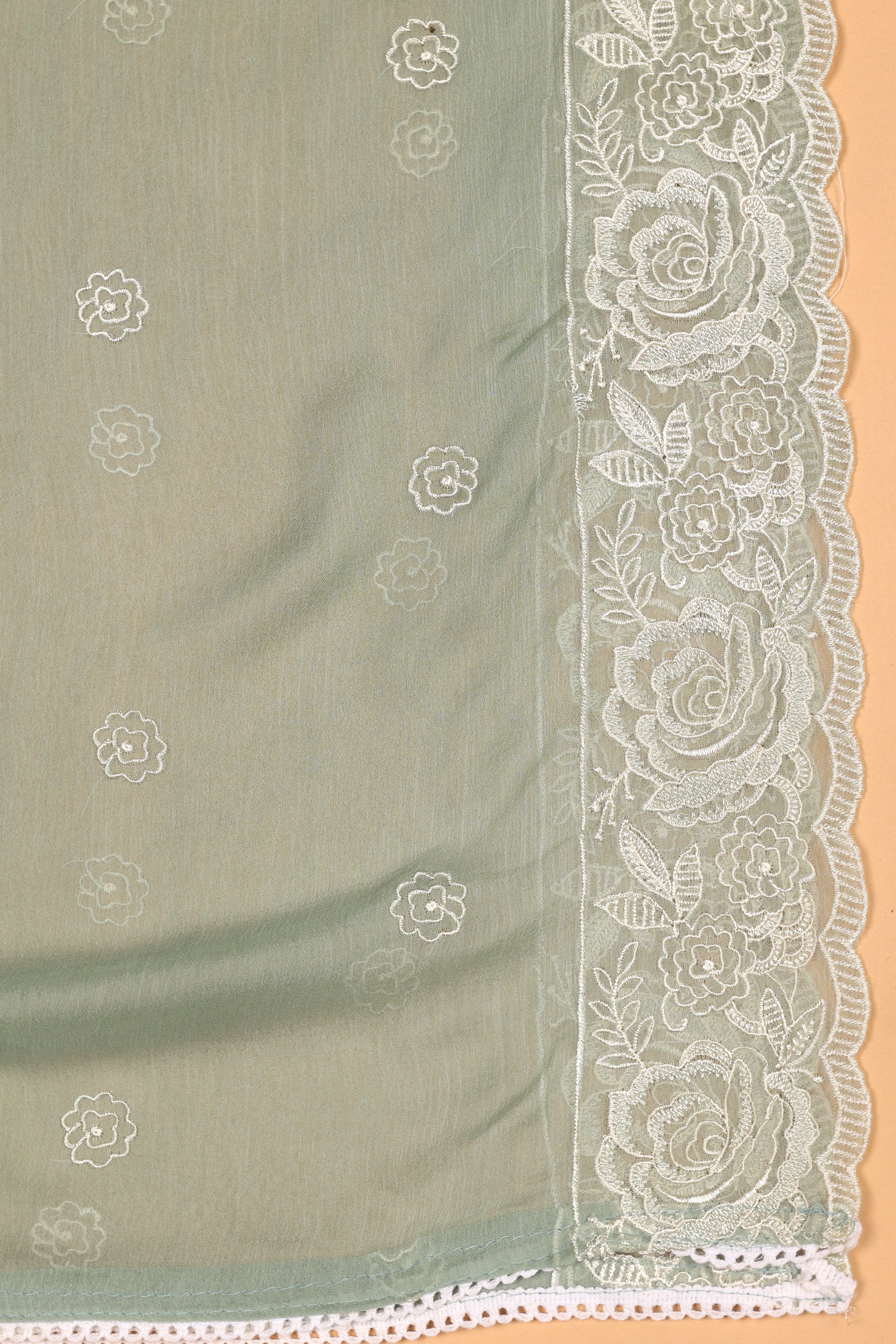 Tissue Organza Suit with Resham Thread Suit