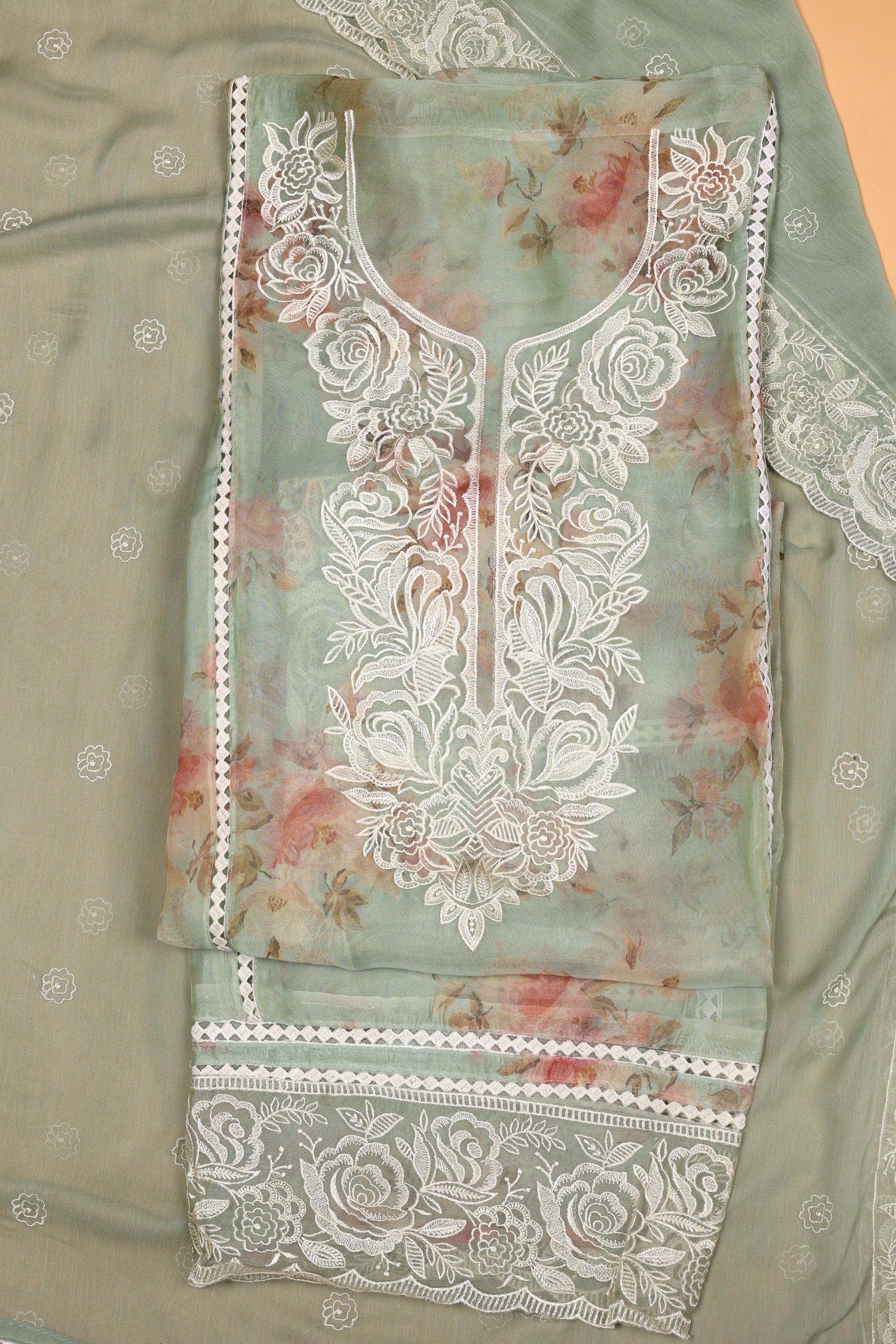 Tissue Organza Suit with Resham Thread Suit