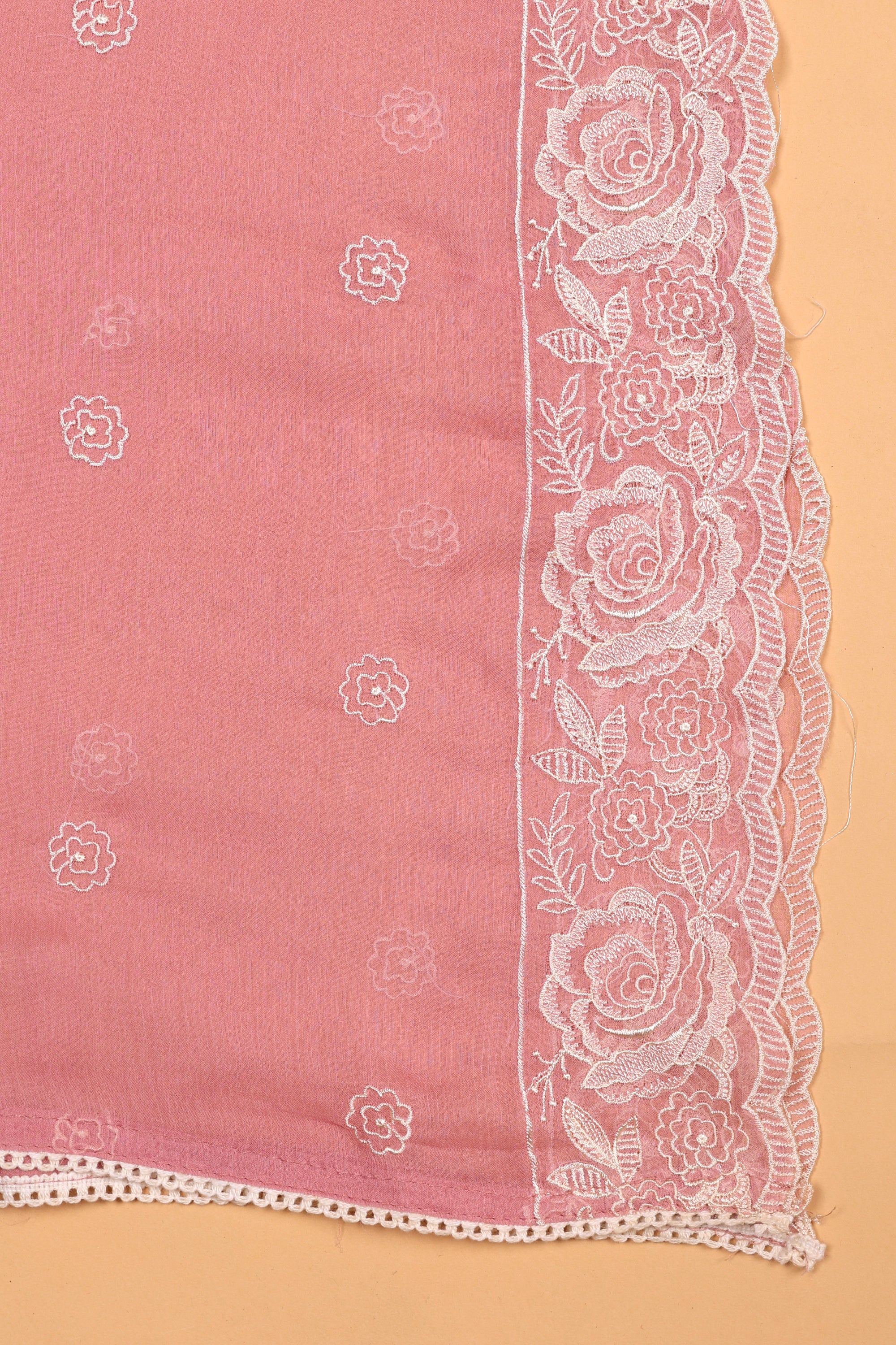Tissue Organza Suit with Resham Thread Suit