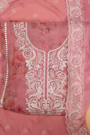 Tissue Organza Suit with Resham Thread Suit