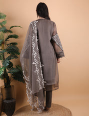 Pakistani Suit in Tissue Fabric
